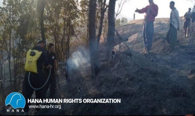 Fire in Javanrud forests and lack of firefighting proceedings!