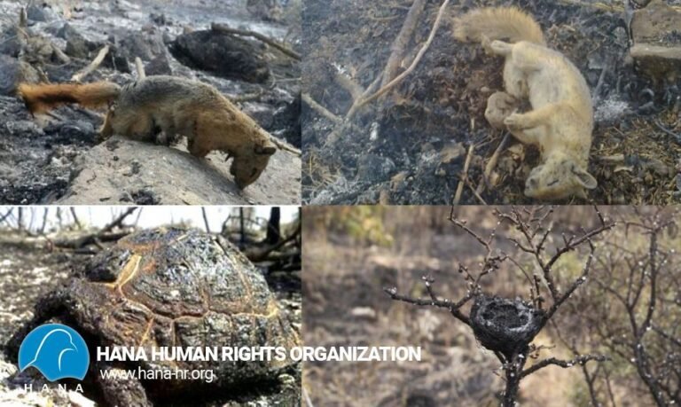 June 5 is World Environment Day