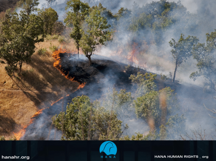 عکس از گوگل